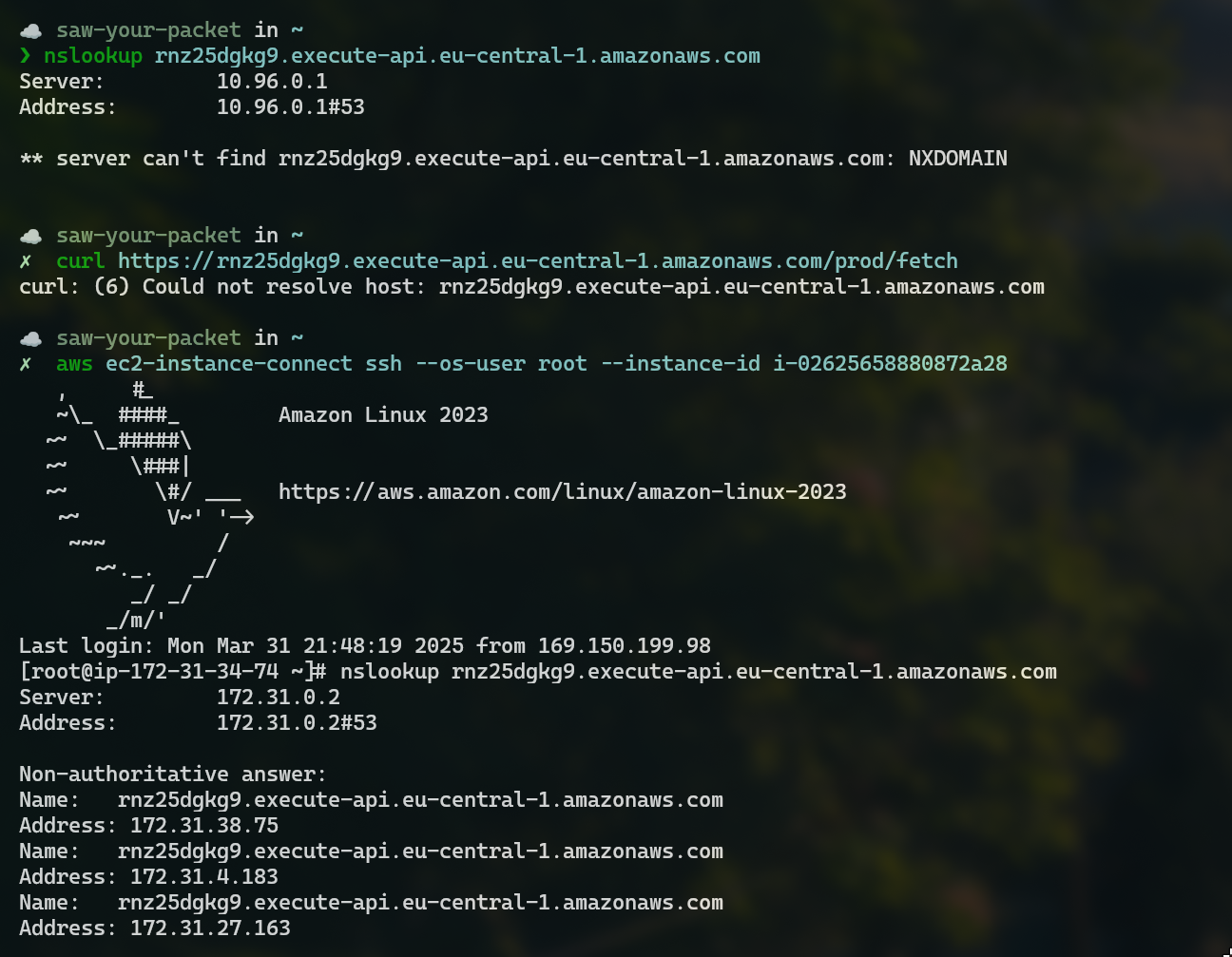 DNS is resolved from EC2 instance